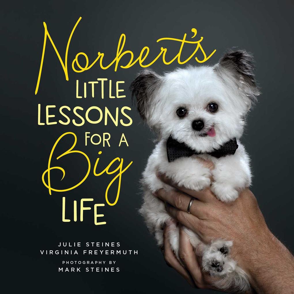 Norbert‘s Little Lessons for a Big Life