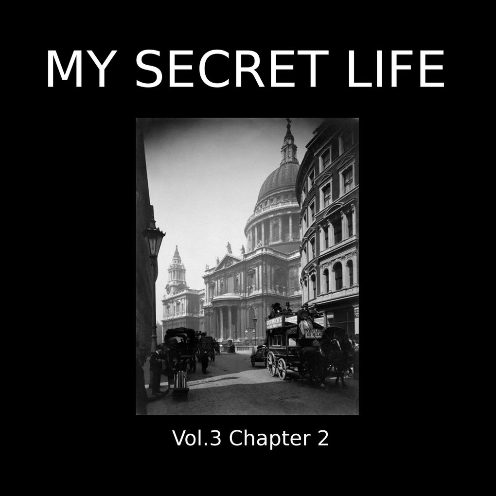 My Secret Life Vol. 3 Chapter 2