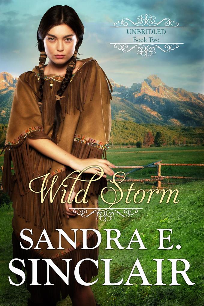 Wild Storm (The Unbridled Series #2)