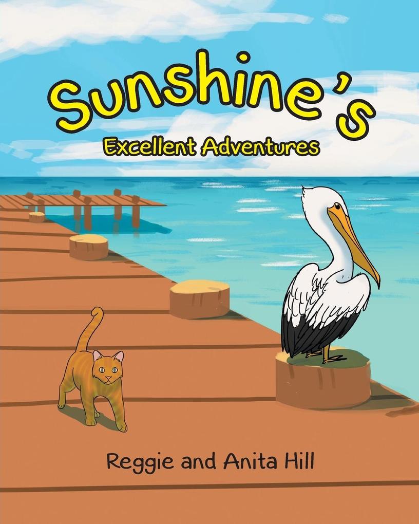Sunshine's Excellent Adventures