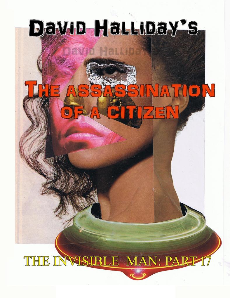 The Assassination of a Citizen (The Invisible Man #17)