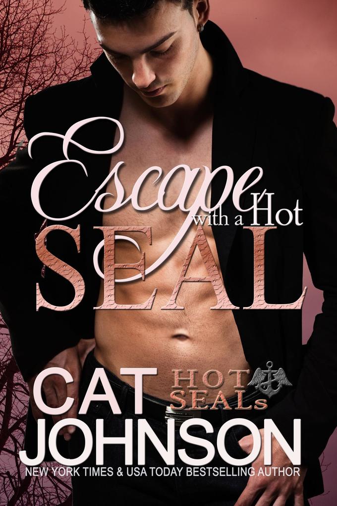 Escape with a Hot SEAL (Hot SEALs #12)