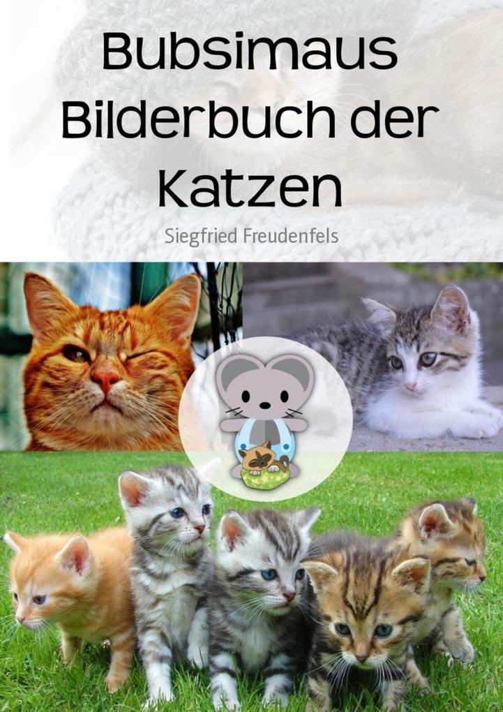 Bubsimaus Bilderbuch der Katzen