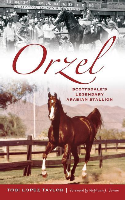Orzel: Scottsdale‘s Legendary Arabian Stallion