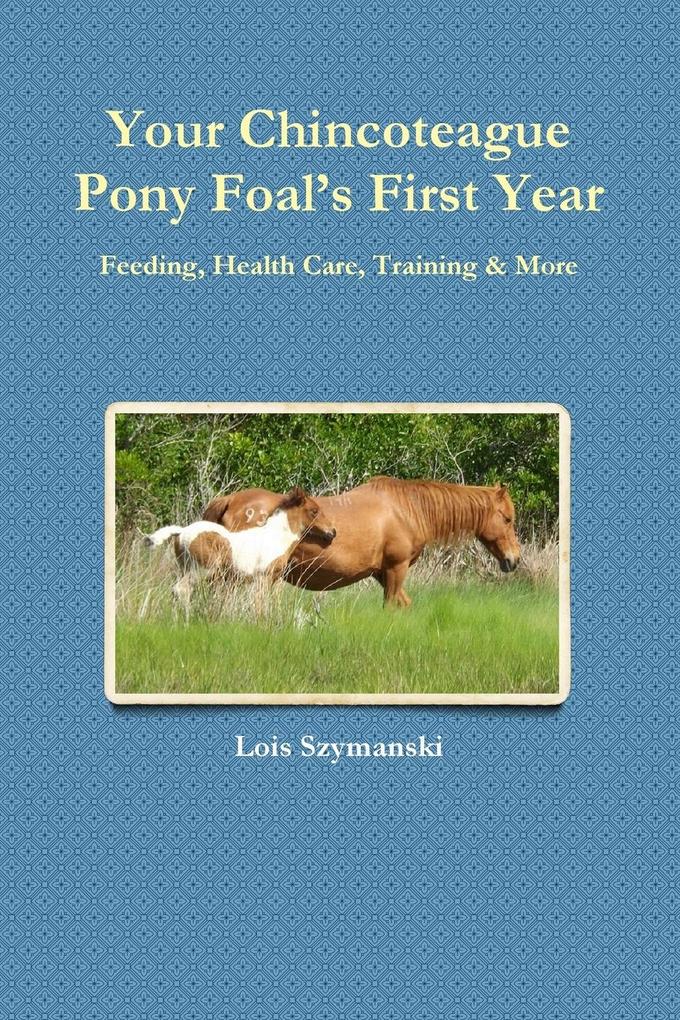 Your Chincoteague Pony Foal‘s First Year