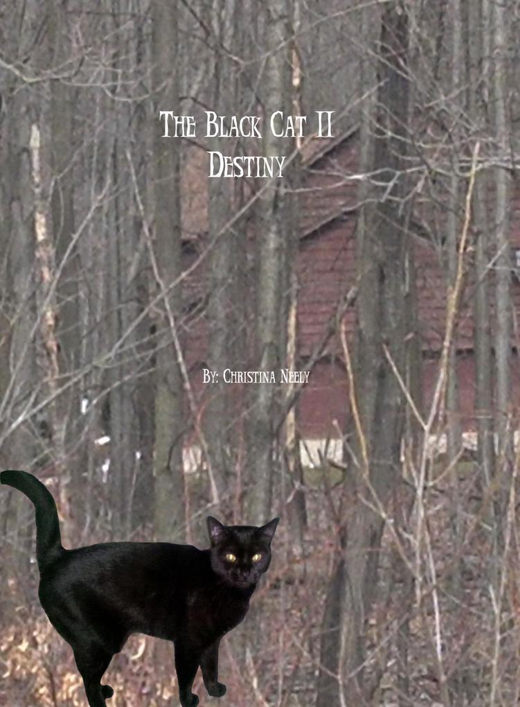 The Black Cat 2: Destiny