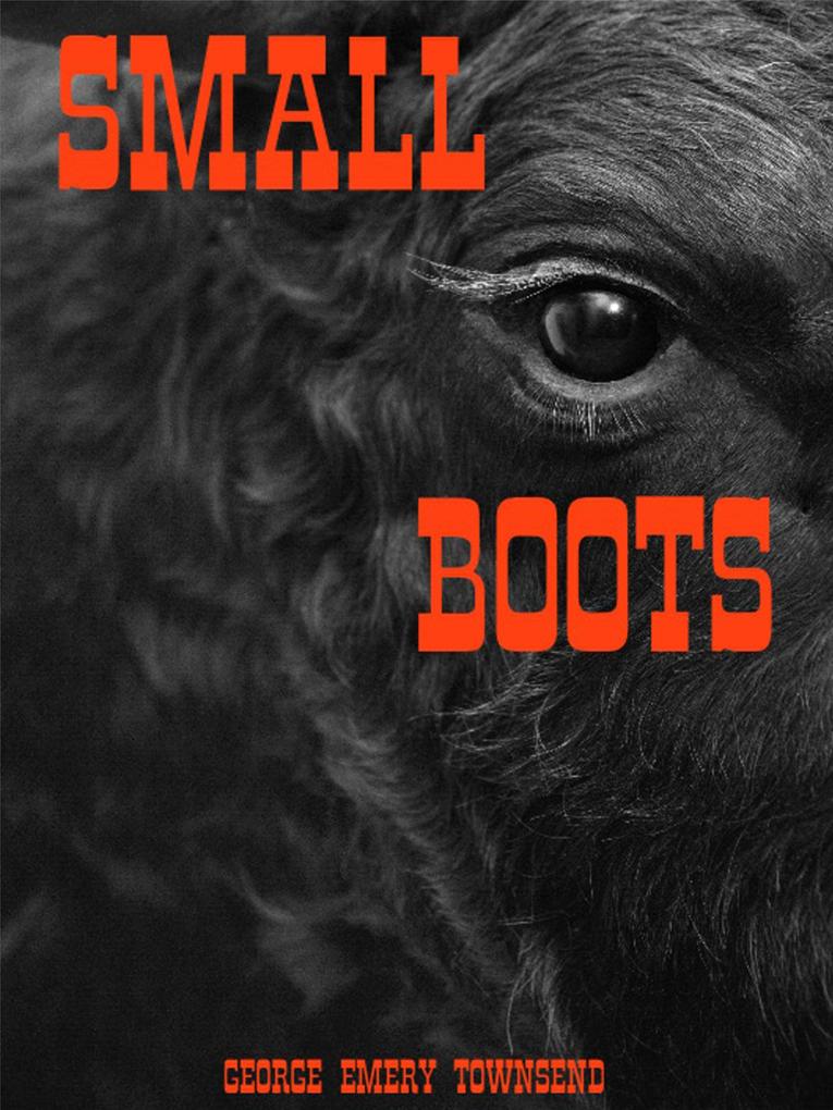 Small Boots (Cooper Series #4)