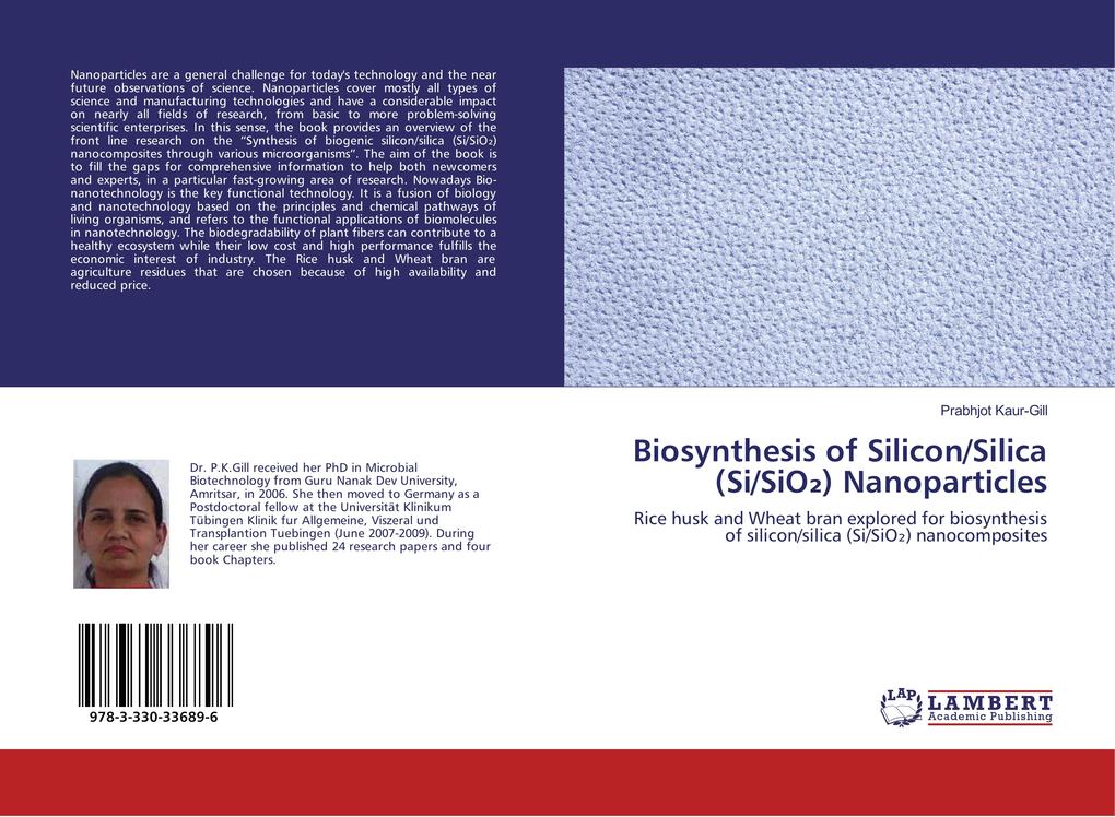 Biosynthesis of Silicon/Silica (Si/SiO) Nanoparticles
