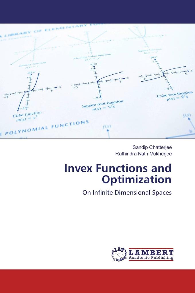 Invex Functions and Optimization
