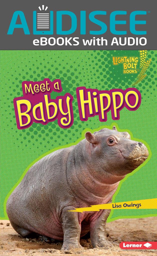 Meet a Baby Hippo