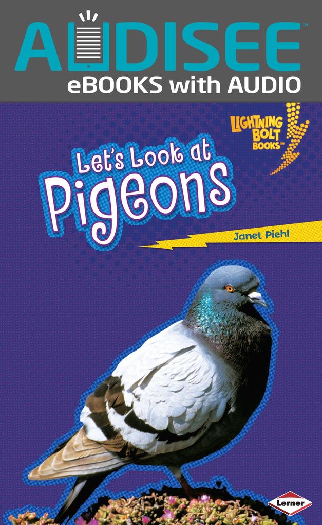 Let's Look at Pigeons