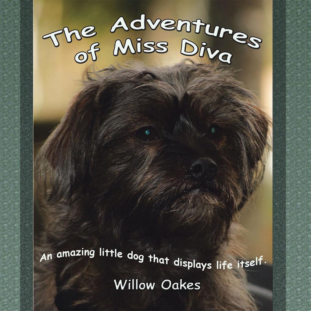 The Adventures of Miss Diva