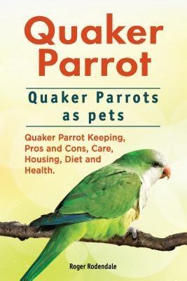 Quaker Parrot. Quaker Parrots as pets. Quaker Parrot Keeping Pros and Cons Care Housing Diet and Health.