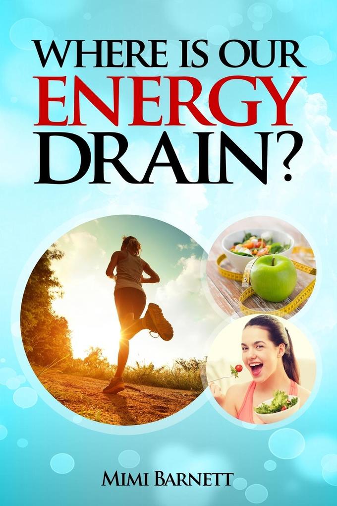 Where is our Energy Drain? (English Edition)