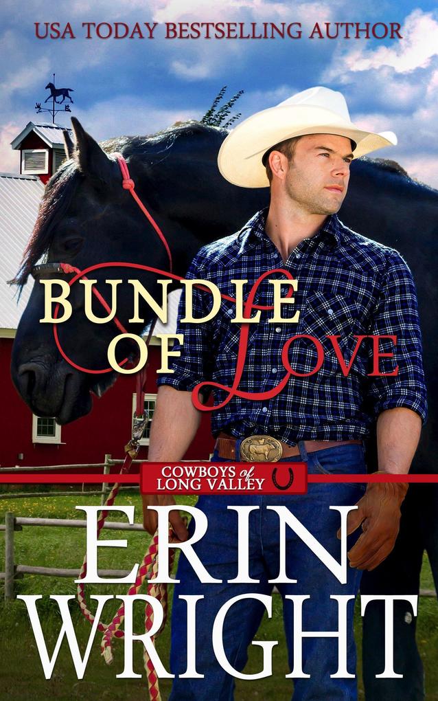 Bundle of Love: An Office Contemporary Western Romance (Cowboys of Long Valley Romance #7)