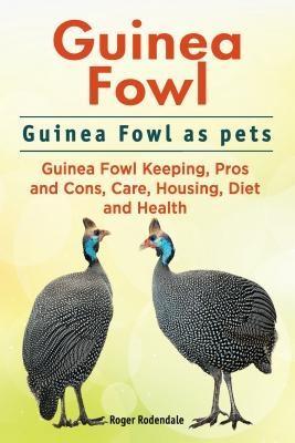 Guinea Fowl. Guinea Fowl as pets. Guinea Fowl Keeping Pros and Cons Care Housing Diet and Health.