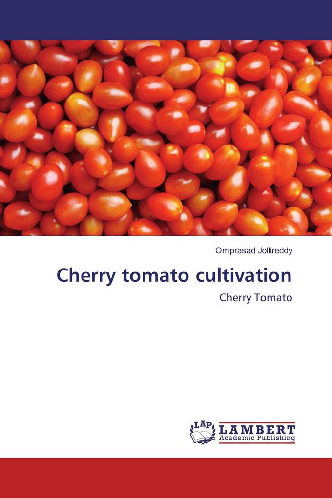 Cherry tomato cultivation