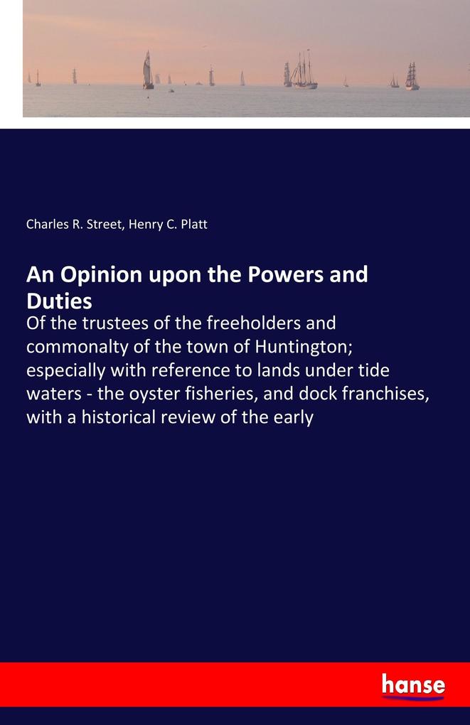 Image of An Opinion upon the Powers and Duties