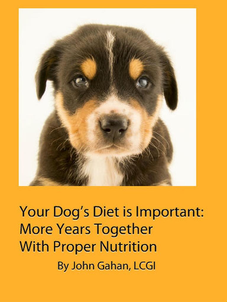Your Dog‘s Diet is Important: More Years Together With Proper Nutrition
