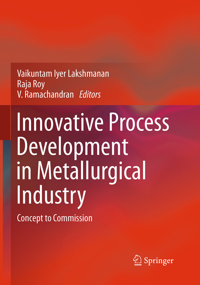 Innovative Process Development in Metallurgical Industry