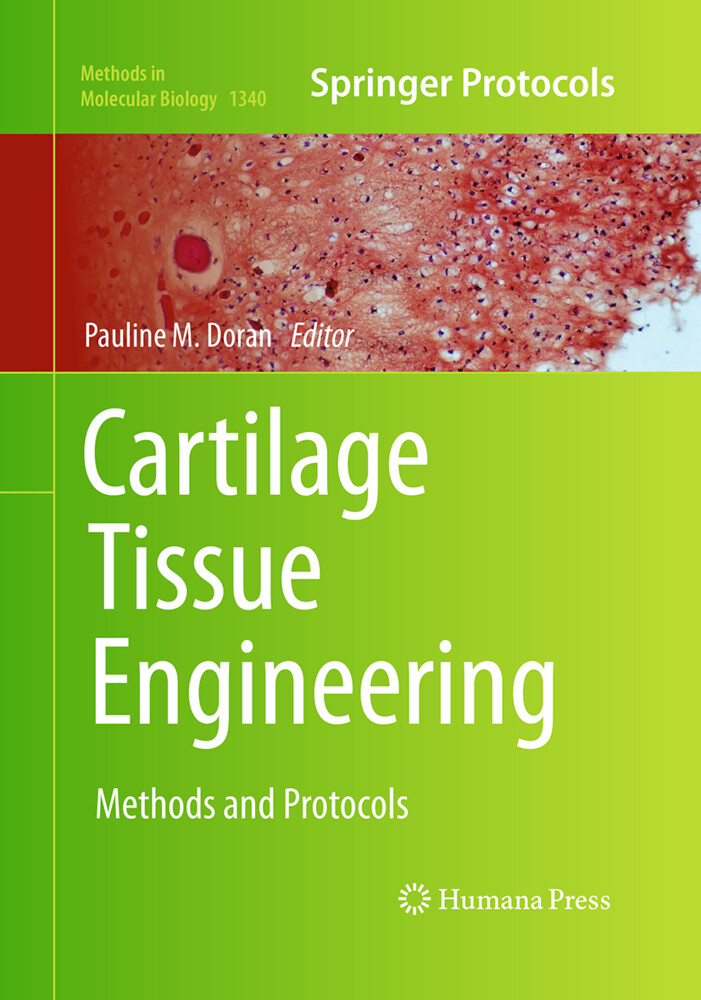 Cartilage Tissue Engineering