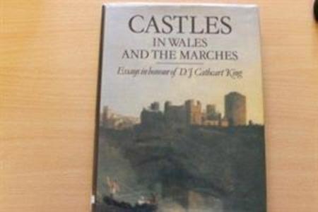 Castles in Wales and the Marches: Essays in Honour of D.J. Cathcart King - David James Cathcart King