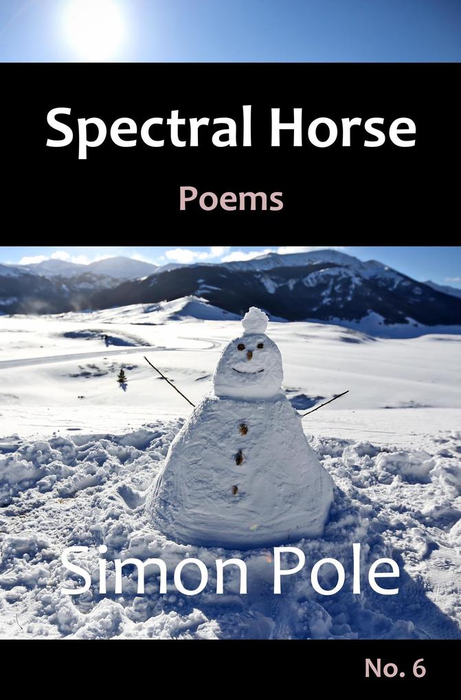 Spectral Horse Poems No. 6