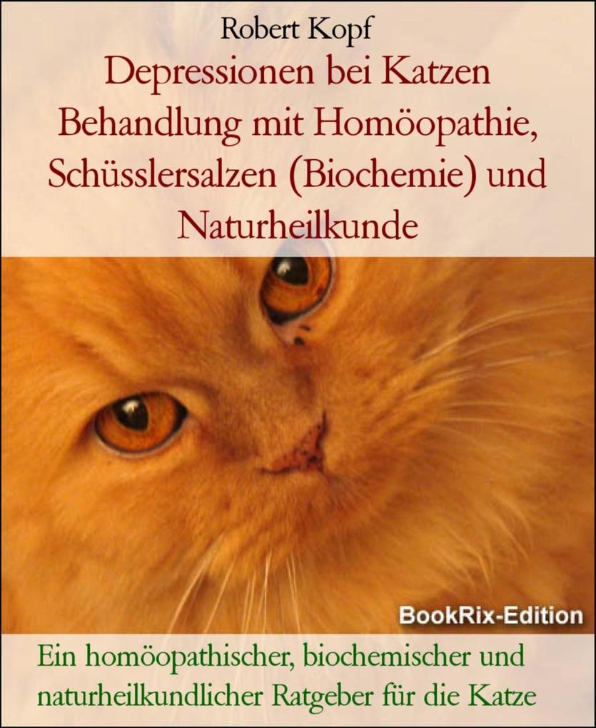 Depressionen bei Katzen Behandlung mit Homöopathie Schüsslersalzen und Naturheilkunde