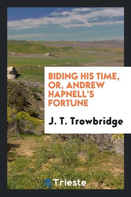 Biding his time or Andrew Hapnell's fortune