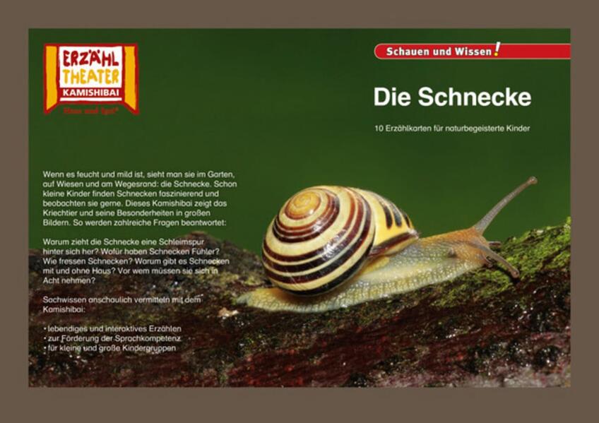 Kamishibai Die Schnecke Sonstiger Artikel