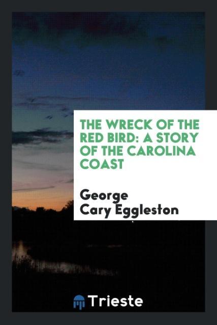 The wreck of the red bird
