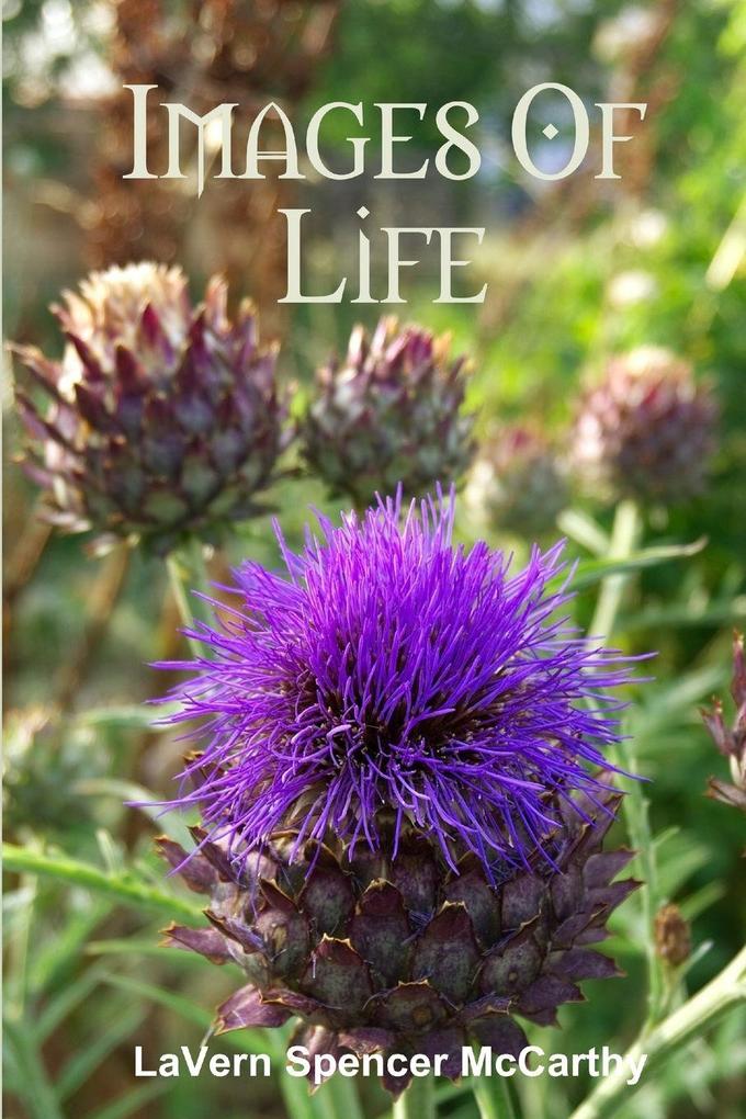 Images Of Life
