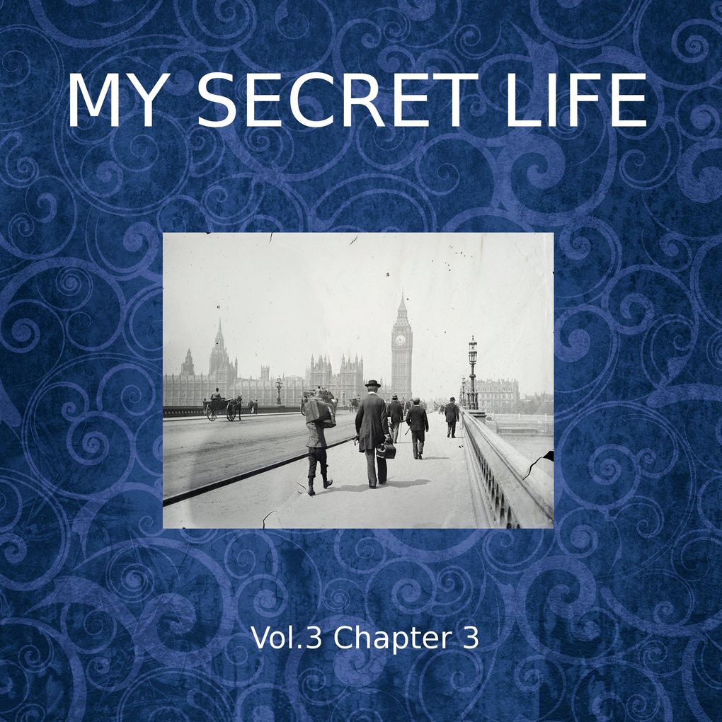 My Secret Life Vol. 3 Chapter 3