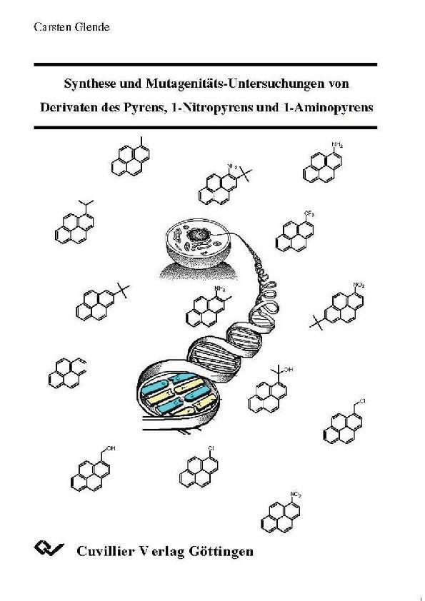 Synthese und Mutagenitäts-Untersuchungen von Derivaten des Pyrens 1-Nitropyrens und 1-Aminopyrens