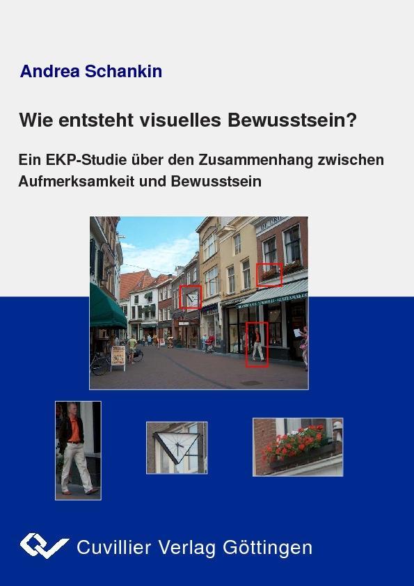Wie entsteht visuelles Bewusstsein?