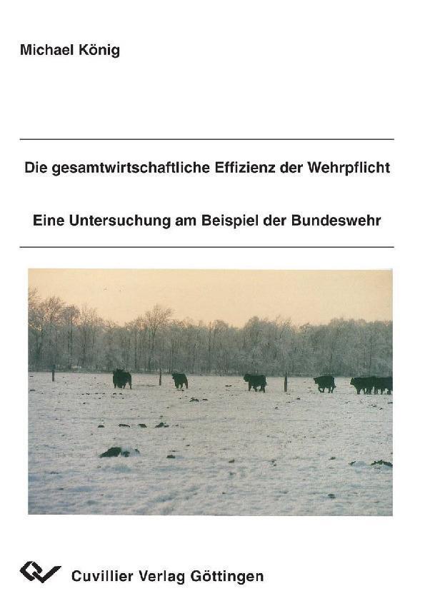 Die gesamtwirtschaftliche Effizienz der Wehrpflicht