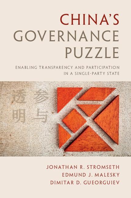 China‘s Governance Puzzle