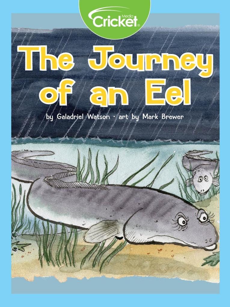 Journey of an Eel