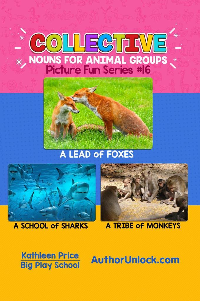Collective Nouns for Animal Groups - Picture Fun Series