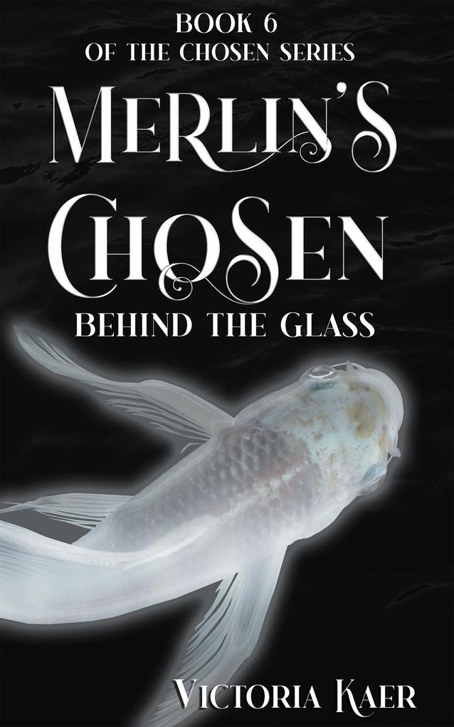 Merlin‘s Chosen Book 6 Behind The Glass
