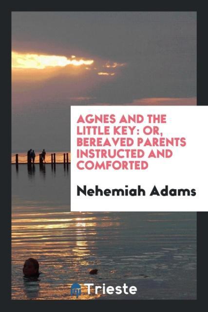 Agnes and the Little Key
