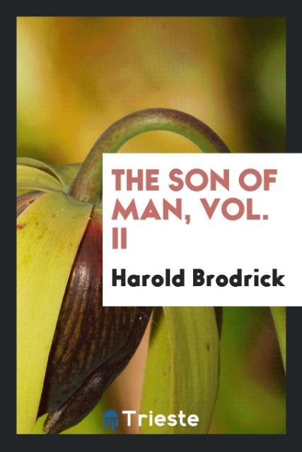 The Son of Man Vol. II