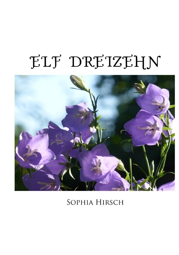 Image of Elf Dreizehn