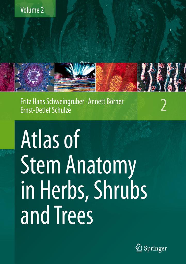 Atlas of Stem Anatomy in Herbs Shrubs and Trees - Fritz Hans Schweingruber/ Annett Börner/ Ernst-Detlef Schulze