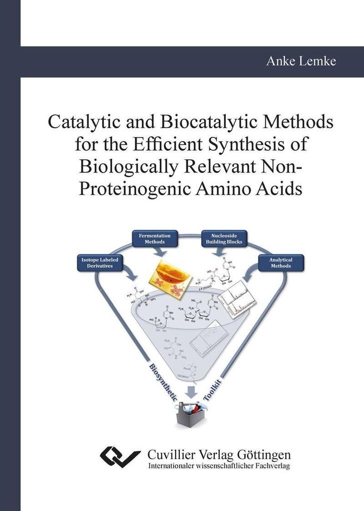 Catalytic and Biocatalytic Methods for the Efficient Synthesis of Biologically Relevant Non-Proteinogenic Amino Acids