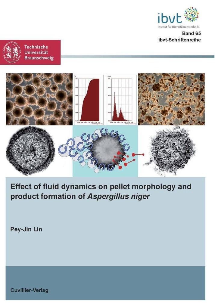 Effect of fluid dynamics on pellet morphology and product formation of Aspergillus niger