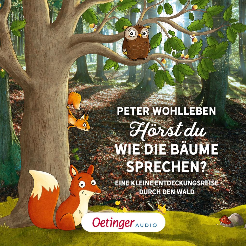 Hörst du wie die Bäume sprechen? Eine kleine Entdeckungsreise durch den Wald