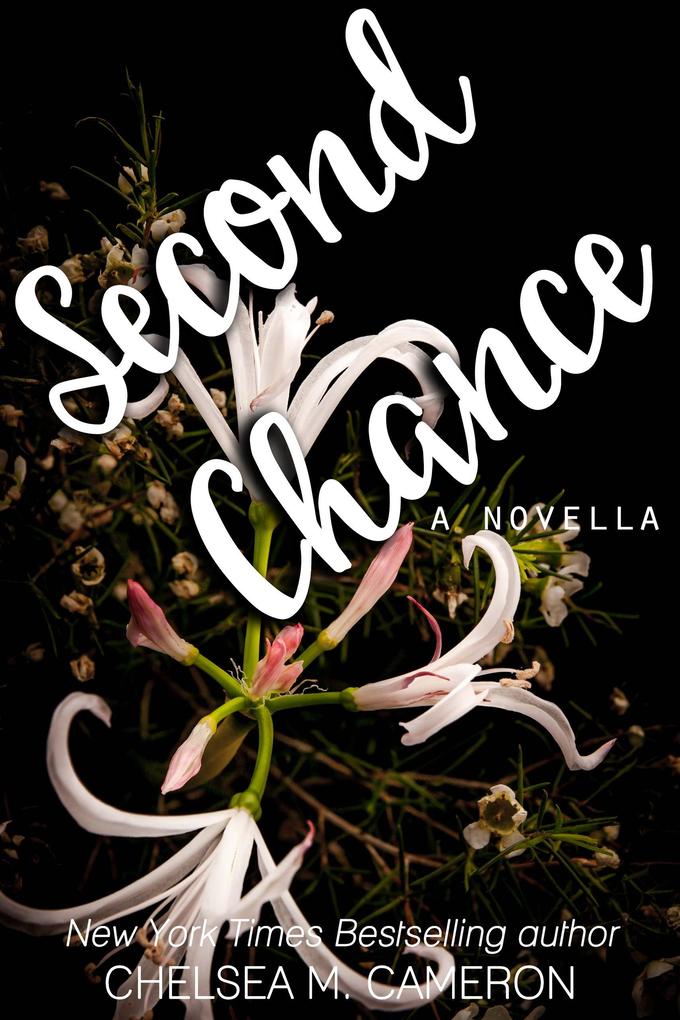 Second Chance (Violet Hill #3)