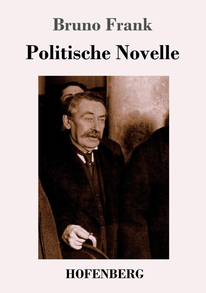 Image of Politische Novelle