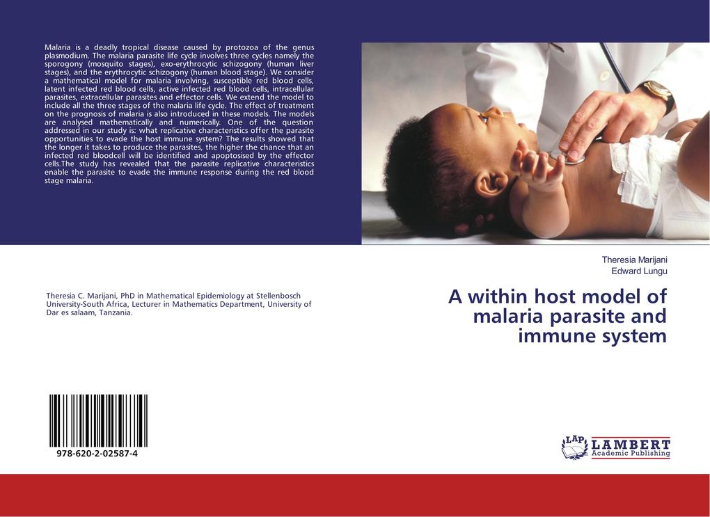 A within host model of malaria parasite and immune system